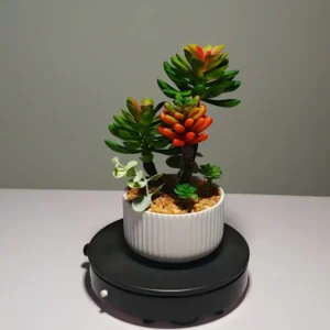 DR0046 (2)fake plant office