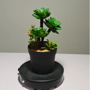 DR0050 (10)fake small succulent plants