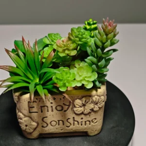 Fake Plant for Shelf| Mixed Lush Succulents in a Embossed Pot