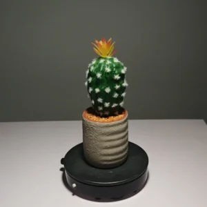 DR0058 (4)artificial plant online