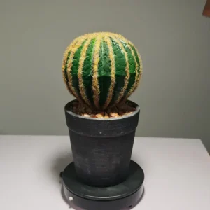 DR0059 artificial succulents in bulk