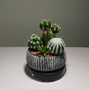 DR0062 (2)Textured Pot Succulents Artificial Plant Store