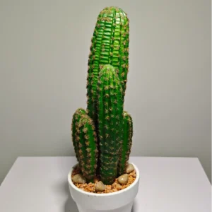 DR0070 (2)fake plant large