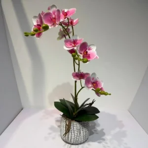 HD007-realistic orchids wholesale