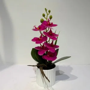 HD012-orchid floral arrangement in planter