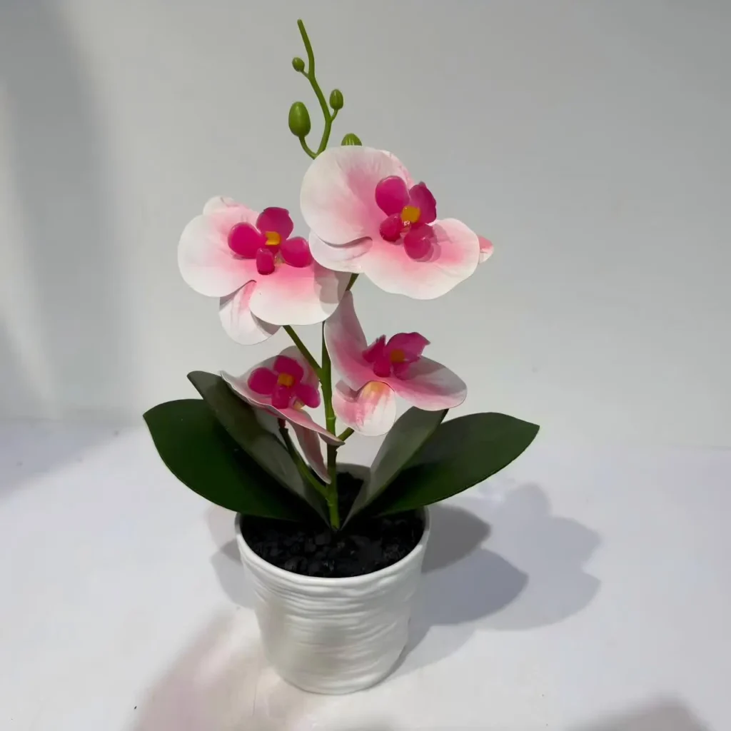 HD015-potted orchid centerpieces