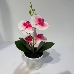 HD015-potted orchid centerpieces