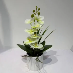 HD016-cream white orchid arrangement