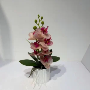 HD017-small orchid arrangements