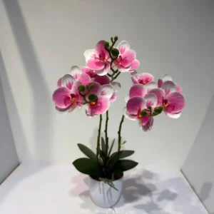 HD018-unique orchid arrangements