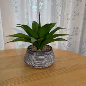 DR0071 (2)Artificial Agave Plant in Textured Black & White Striped Pot