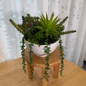 DR0073 (2) Artificial Succulent & Trailing Plant Arrangement in White Ceramic Bowl