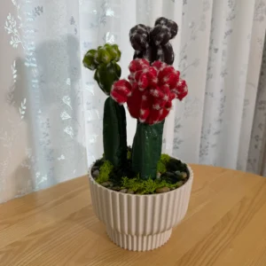 DR0077 (3) Artificial Cactus & Succulent Centerpiece in Ribbed Pot