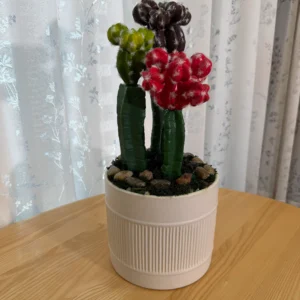 DR0078 (2) Faux Cactus & Succulent Arrangement in Textured Pot