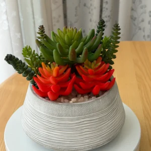 DR0079 (4) Succulent Garden Artificial Plant in White Pot