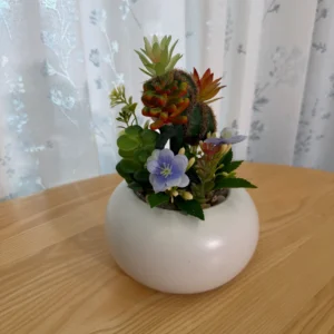 DR0081 (2) profile - Realistic Artificial Succulent Arrangement
