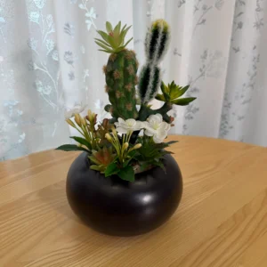 DR0082 (1) profile - Faux Succulent Potted Plant for Home Decor