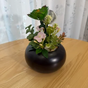 DR0083 (1) profile - Artificial Succulents with Modern Planter