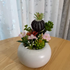 DR0084 (1) profile - Low-Maintenance Fake Succulent Decor