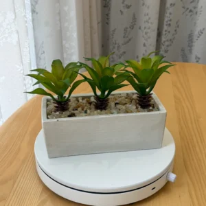 DR0087 (5) profile - Real-Touch Artificial Succulent Collection