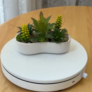 DR0090 (2) profile - Lifelike Potted Succulents Artificial Plant