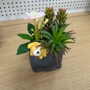 DR0093 (1) profile - Artificial Succulent in Sack-Shaped Pot