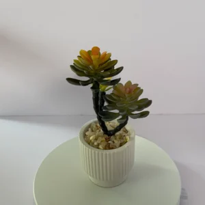 DR0096 (1) profile - Lifelike Faux Succulents in Decorative Pot