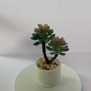 DR0097 (1) profile - Artificial Succulent Arrangement