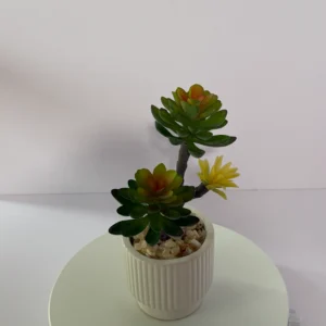 DR0098 (1) profile -Lifelike Faux Succulent Pot