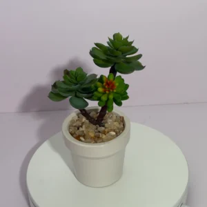 DR0099 (2) profile - Modern Faux Succulent Decor