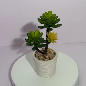 DR0100 (1) profile - Real-Touch Fake Succulent Plant