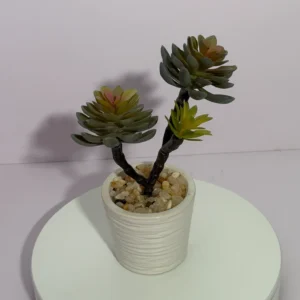 DR0101 (2) profile - Decorative Artificial Succulent