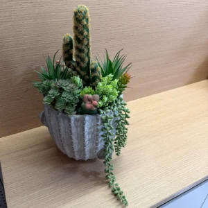 DR0103 (1) profile - Minimalist Fake Succulent Pot