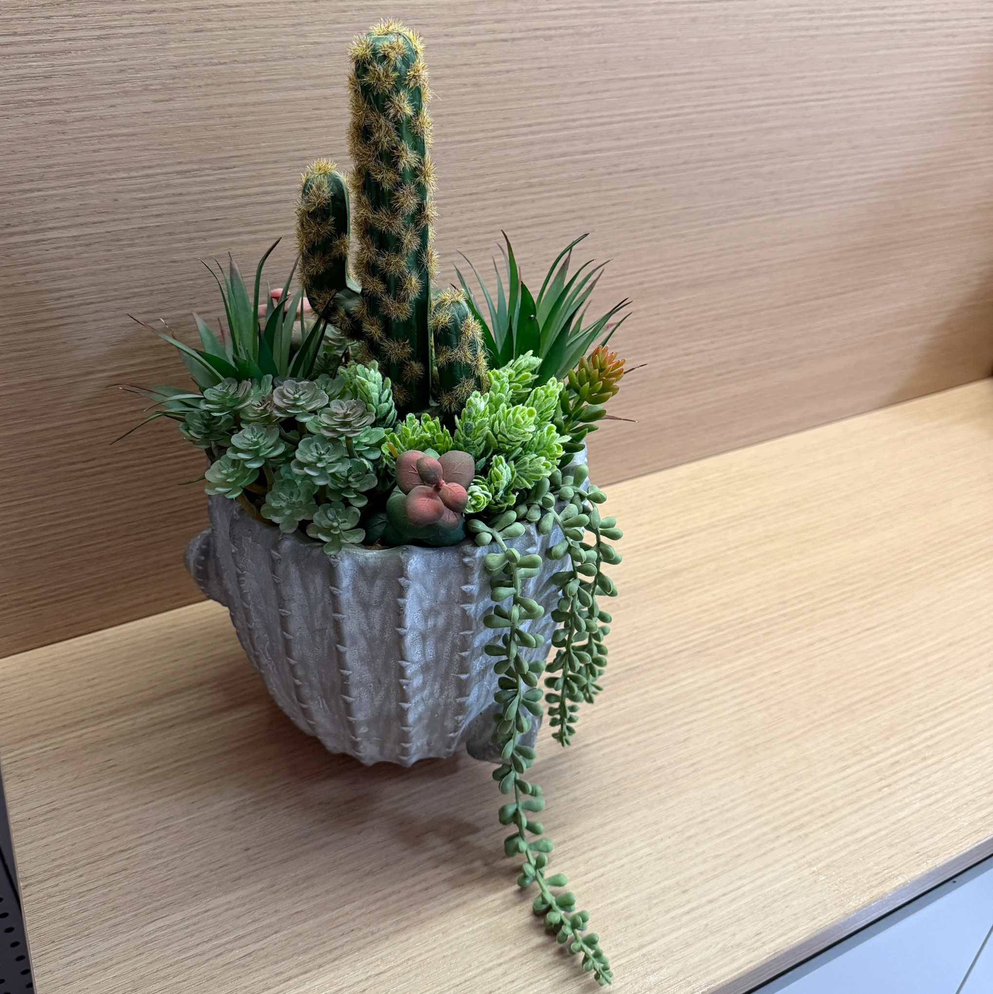 DR0103 (1) profile - Minimalist Fake Succulent Pot