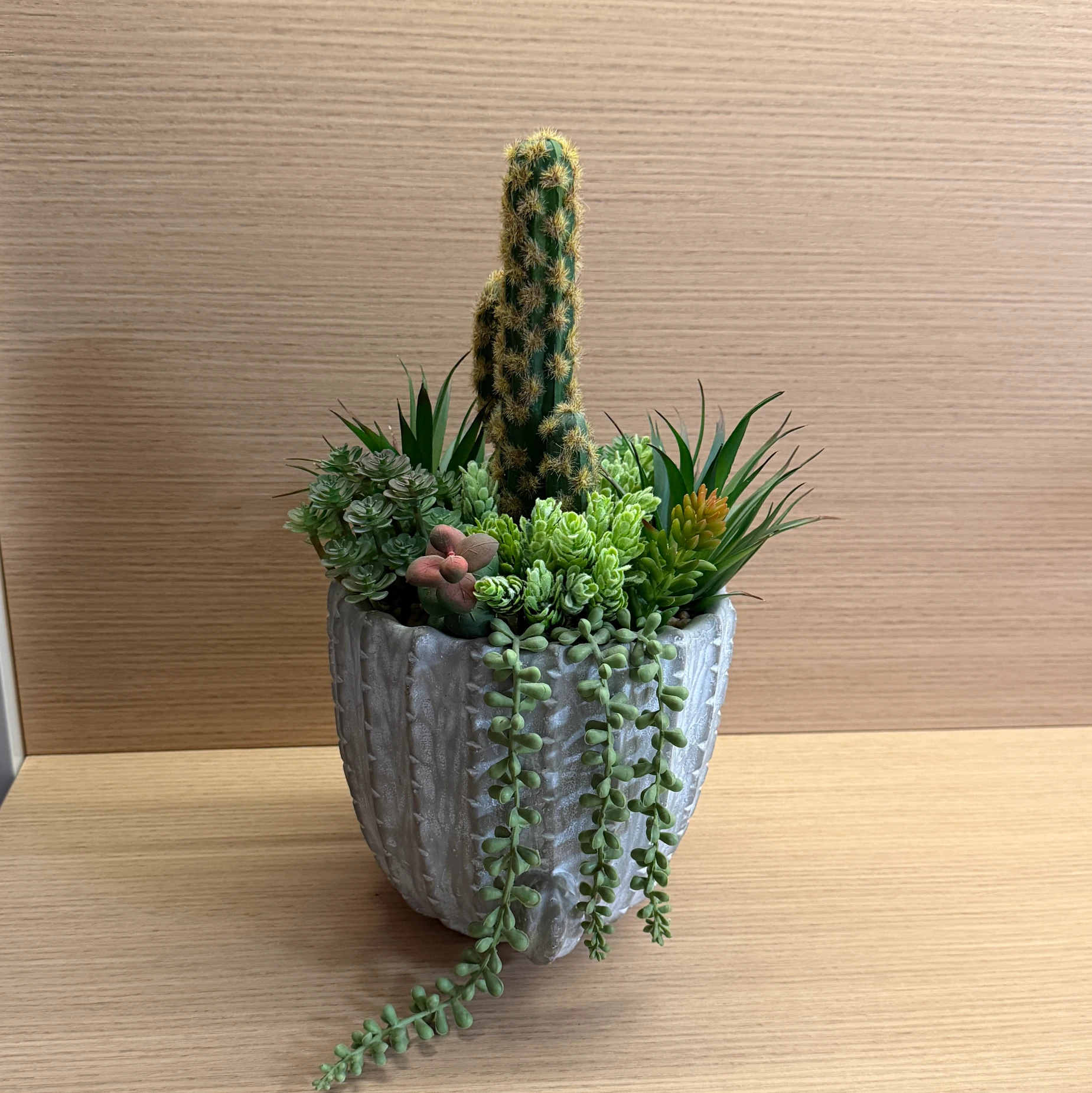 DR0103 (2) - Minimalist Fake Succulent Pot