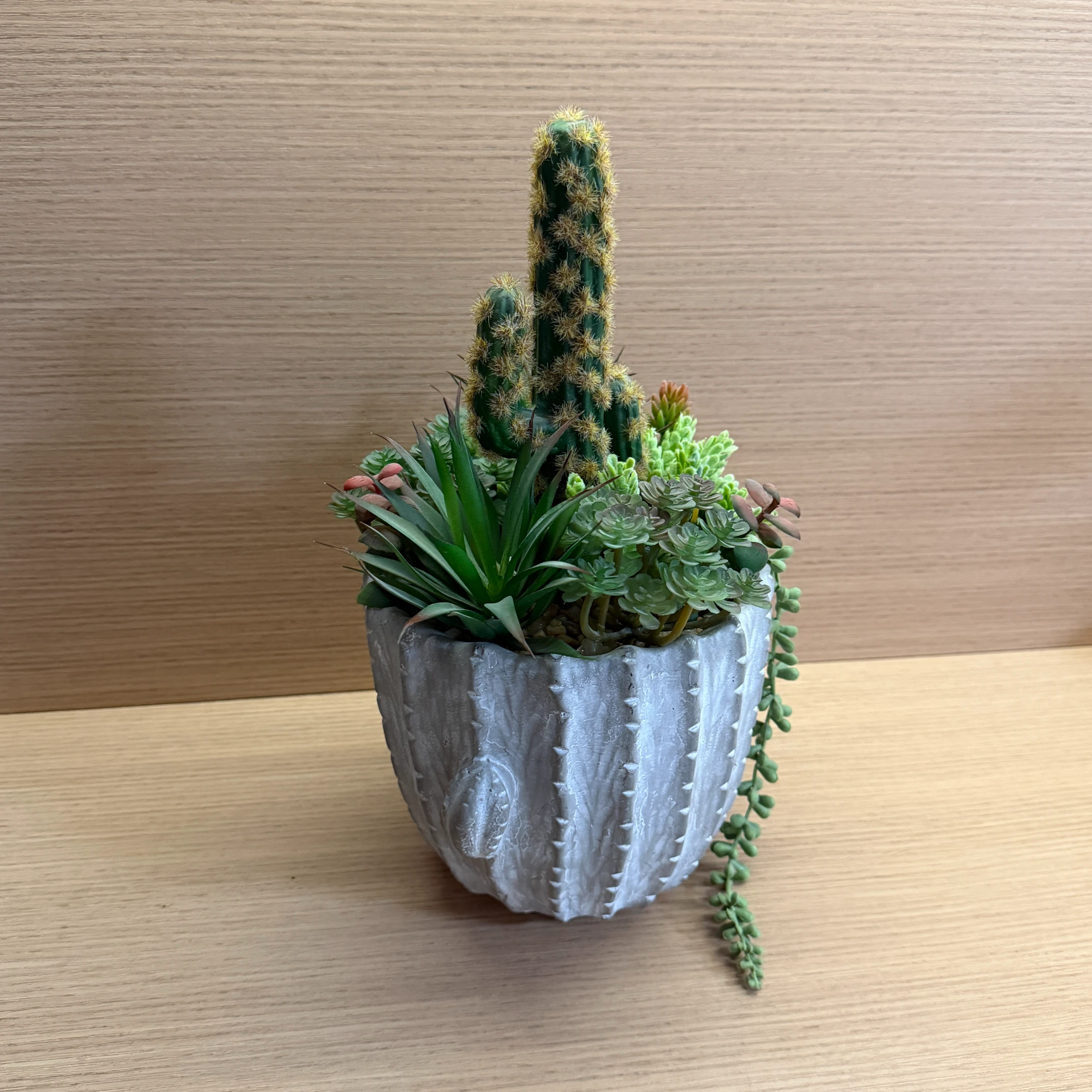 DR0103 (4) - Minimalist Fake Succulent Pot