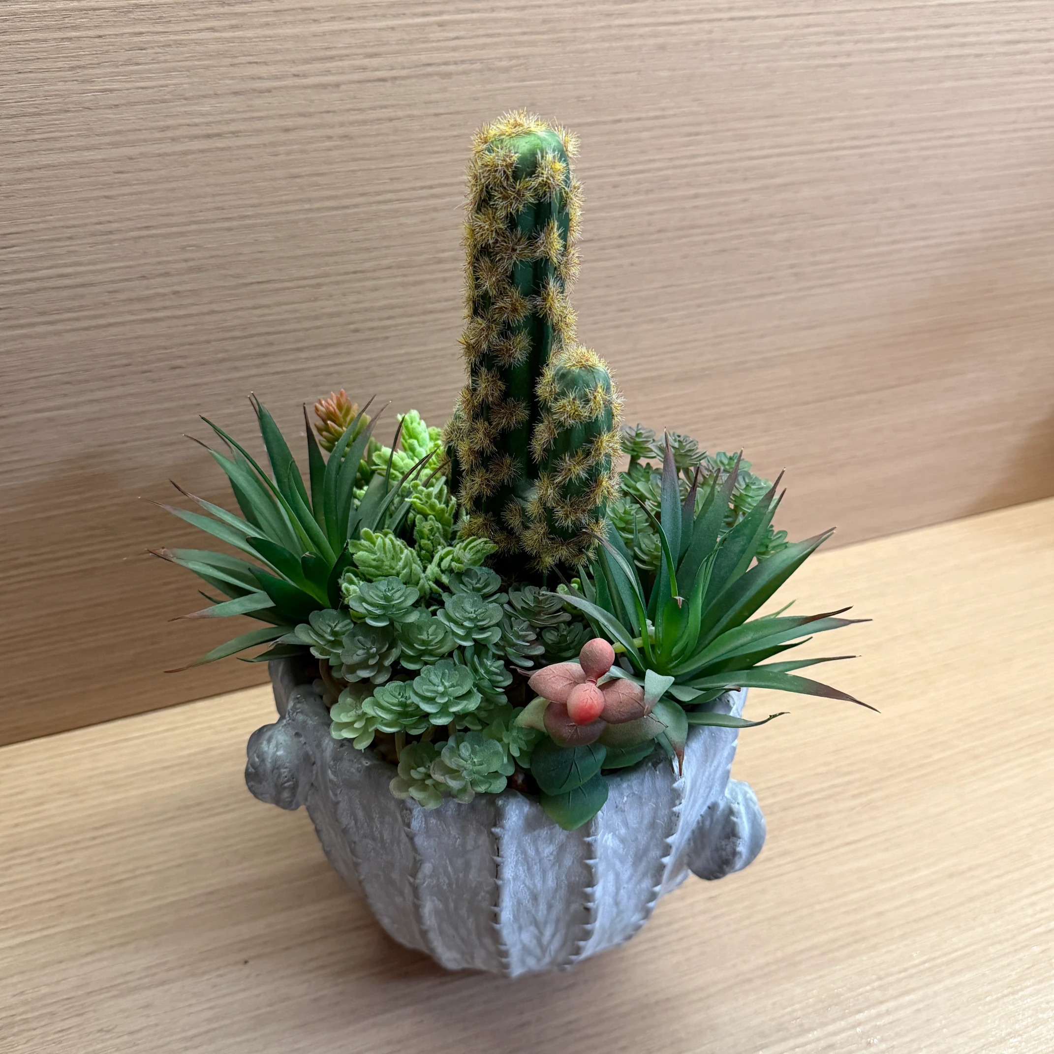 DR0103 (5) - Minimalist Fake Succulent Pot