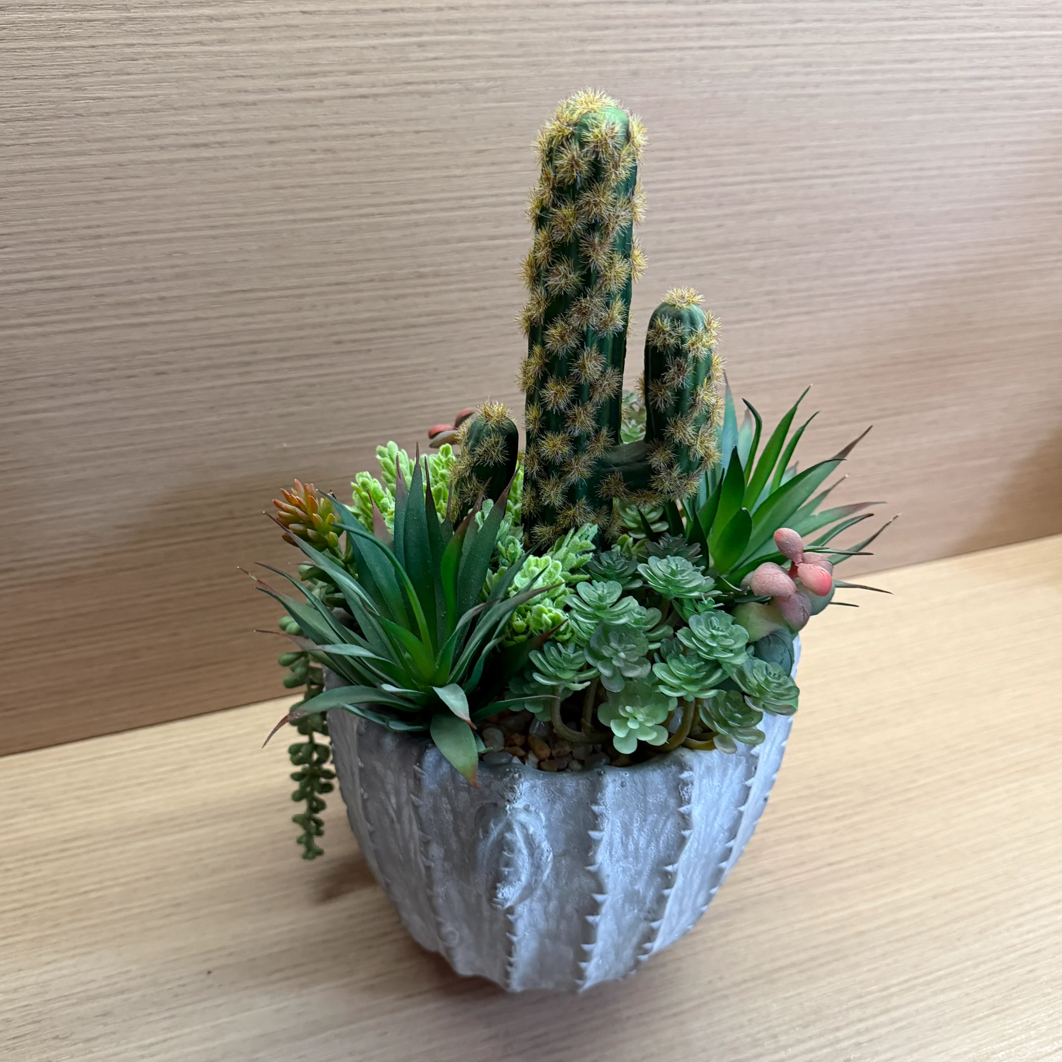 DR0103 (6) - Minimalist Fake Succulent Pot
