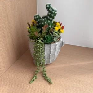 DR0104 (1) profile - Realistic Potted Succulent