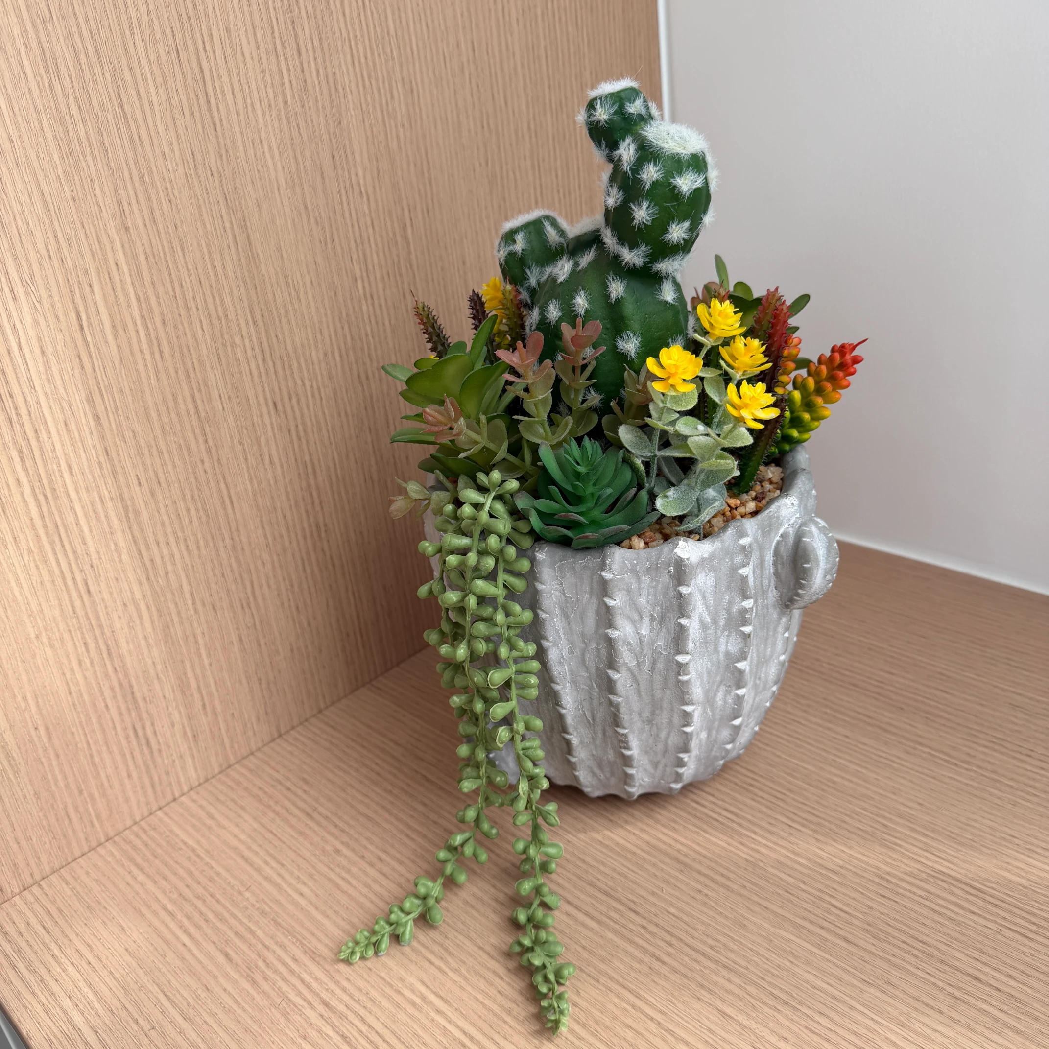 DR0104 (2) - Realistic Potted Succulent