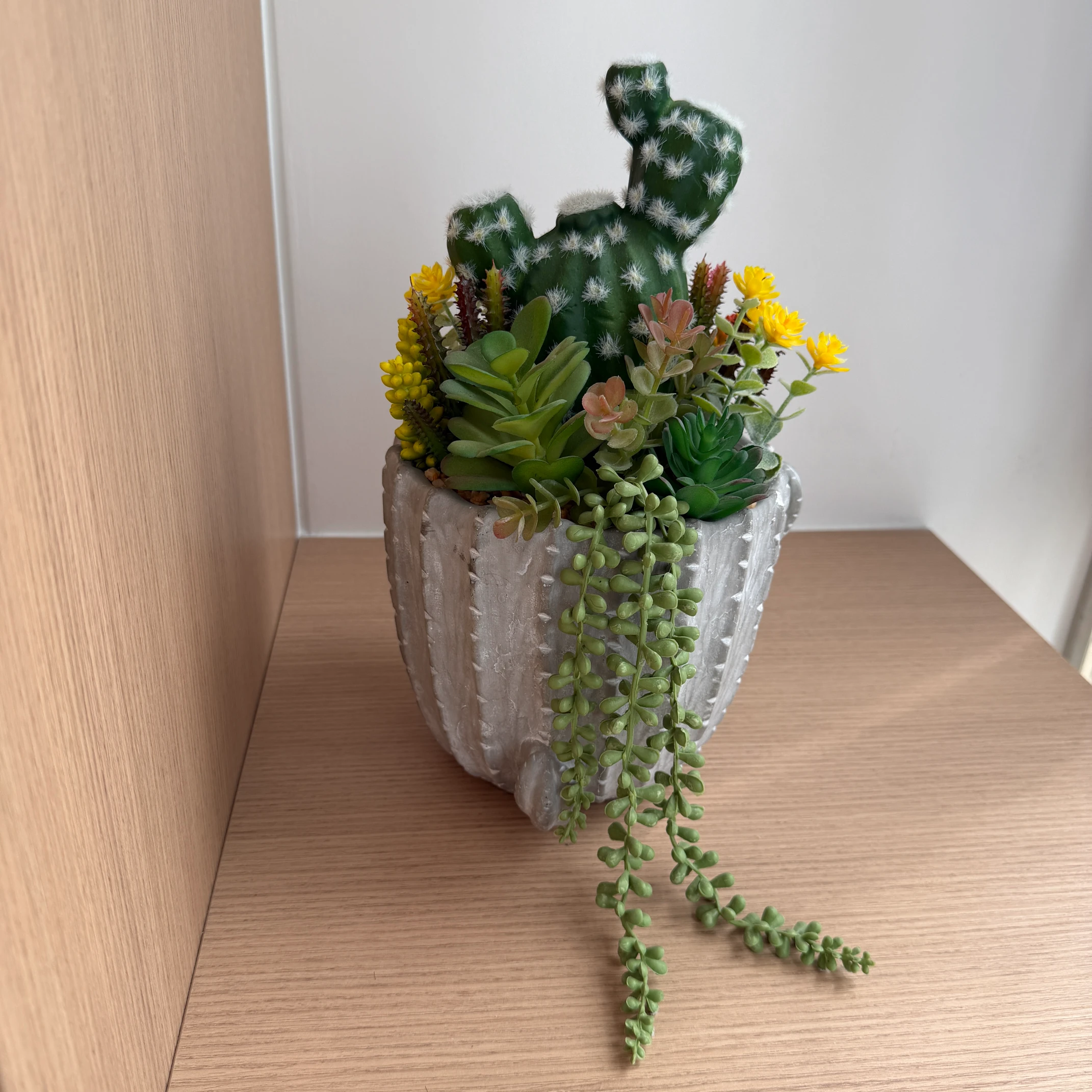 DR0104 (3) - Realistic Potted Succulent