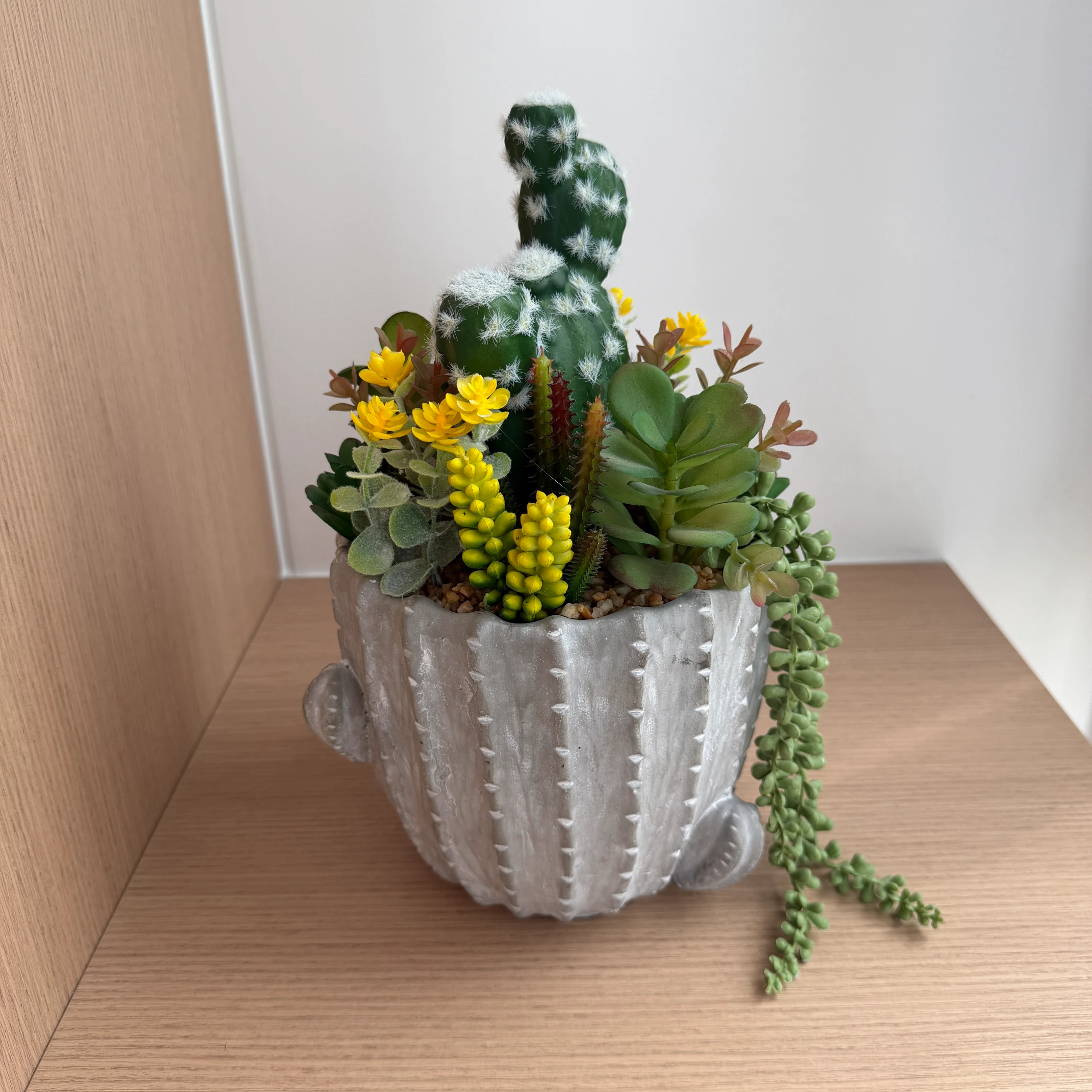 DR0104 (4) - Realistic Potted Succulent