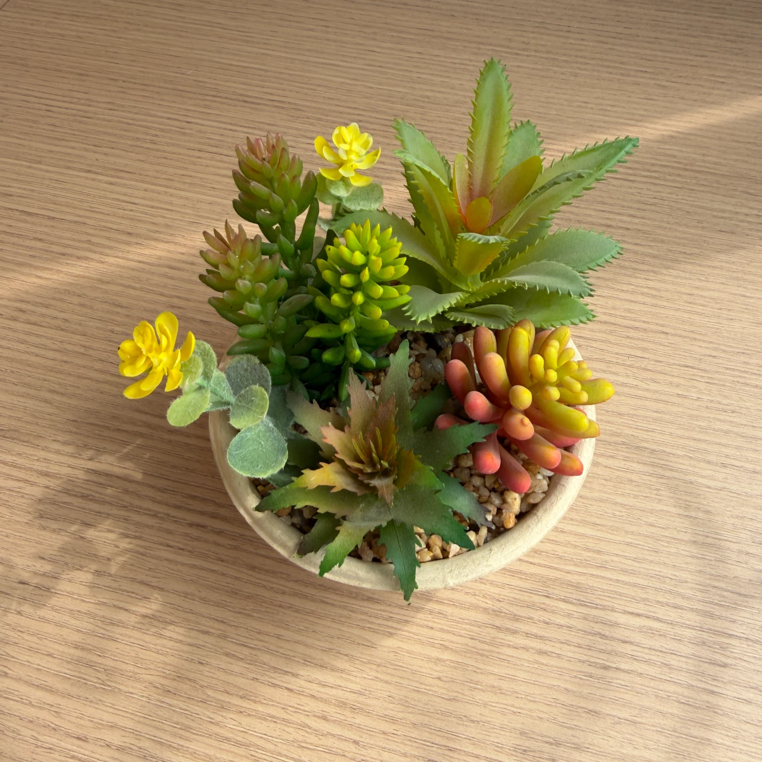 DR0106 (7) - Small Faux Succulent for Desk