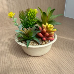 DR0106 (8) profile - Small Faux Succulent for Desk