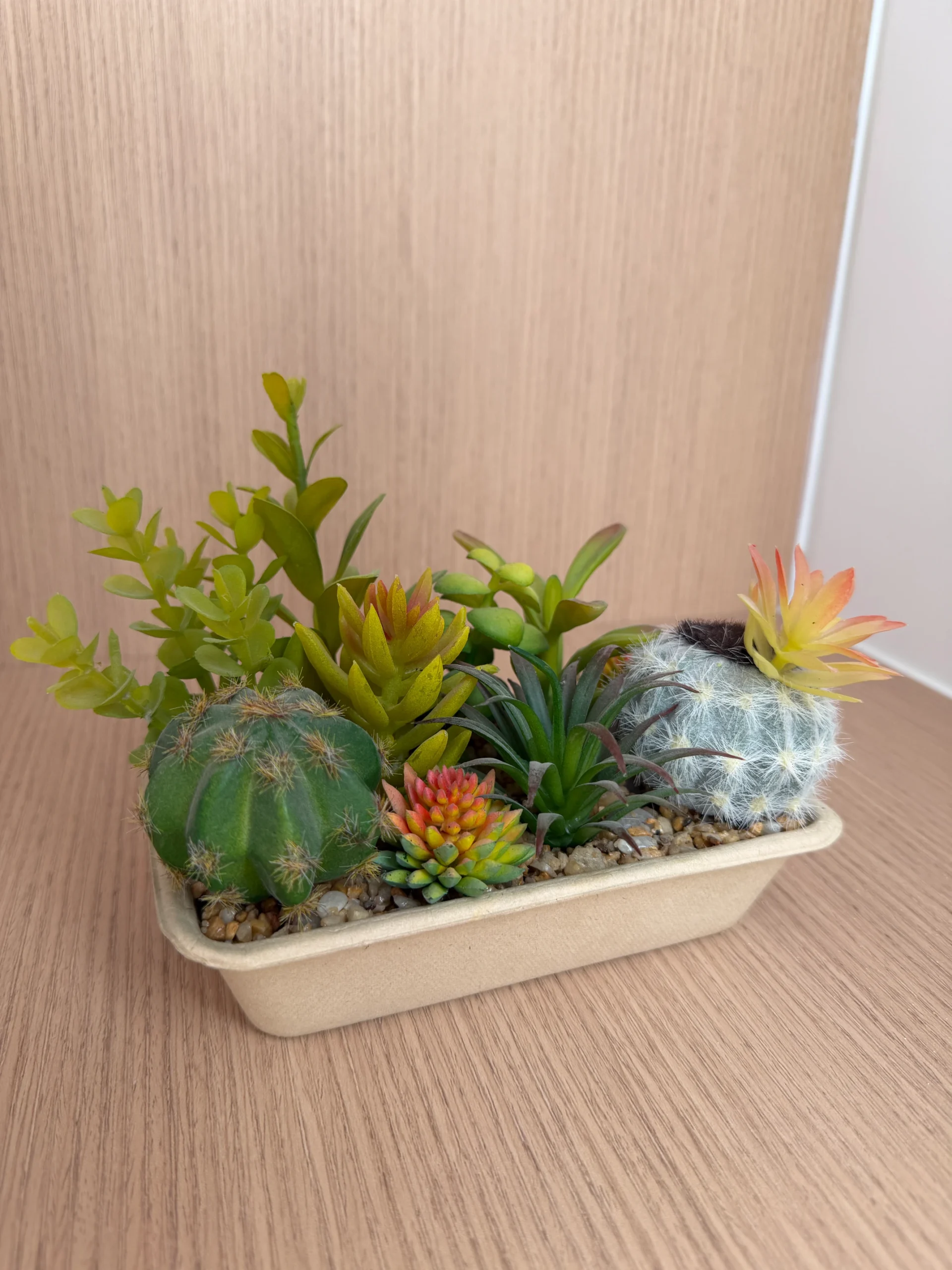 DR0107 (6) profile - Faux Succulent in Ceramic Pot