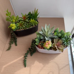 DR0109 (1) profile - Artificial Succulent for Shelf