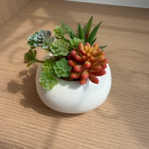 DR0110 (5) profile - Handmade-Look Faux Succulent