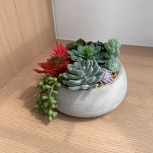 DR0111 (5) profile - Faux Succulent with Pot