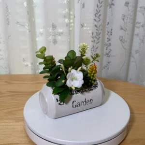 DR0117 (3) profile - Artificial Succulent in Ceramic Pot