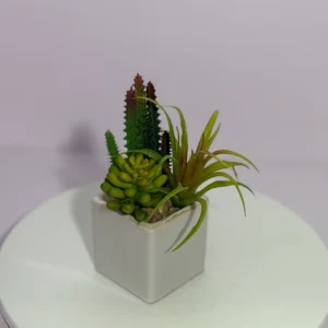 DR0119 (2) profile - Realistic Potted Succulent
